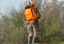 Pubblicato il calendario venatorio del Lazio 2020/2021 calendario venatorio del Lazio: cacciatore in alta visibilità con fucile a tracolla