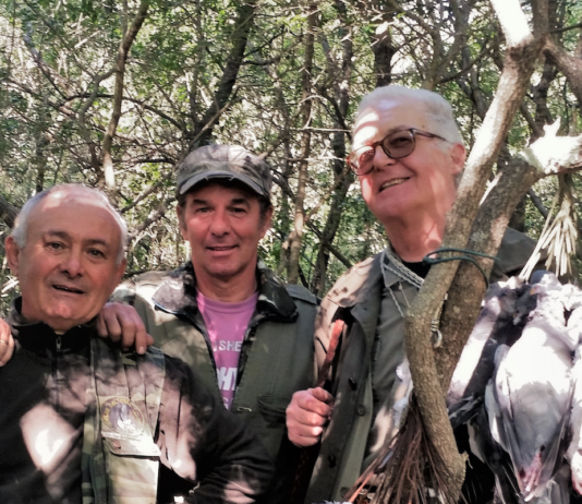 Caccia al colombaccio: parla l’esperto caccia al colombaccio