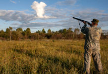 Tar salva il piano faunistico-venatorio delle Marche Tar salva il piano faunistico-venatorio delle Marche: cacciatore prende la mira con fucile imbracciato