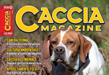 Caccia Magazine n. 9 settembre 2020