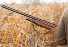 Approvato il calendario venatorio dell’Abruzzo calendario venatorio dell'abruzzo: cacciatore tra le spighe, in mano il fucile
