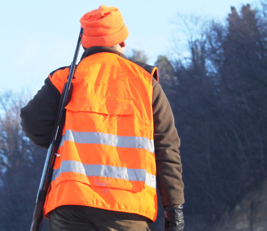 Dalla Liguria il primo protocollo sanitario per la braccata protocollo sanitario per la caccia in braccata: cacciatore in alta visibilità ritratto di spalle con fucile a tracolla