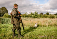 In Umbria serve tesserino venatorio provvisorio tesserino venatorio: cacciatore con fucile dietro cane