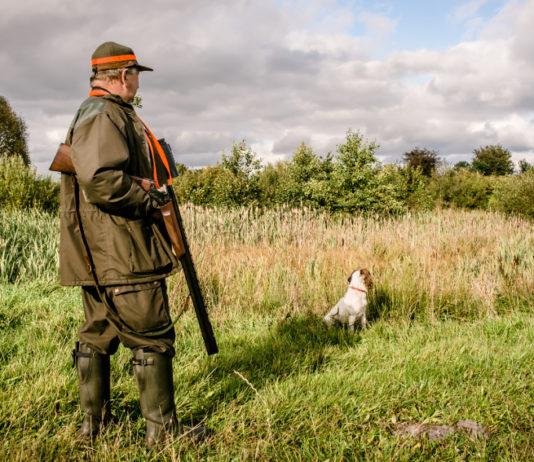In Umbria serve tesserino venatorio provvisorio tesserino venatorio: cacciatore con fucile dietro cane