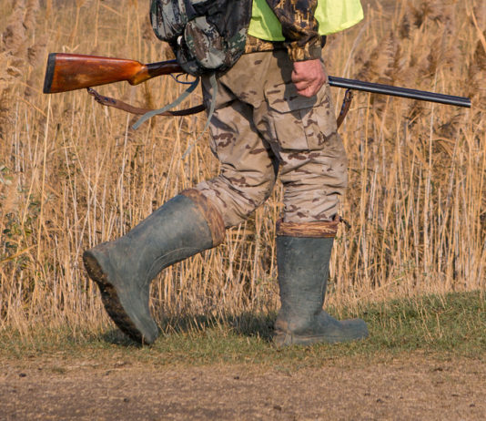 Le notizie sulla caccia della settimana di Ferragosto notizie sulla caccia: cacciatore con gilet alta visibilità e fucile in mano