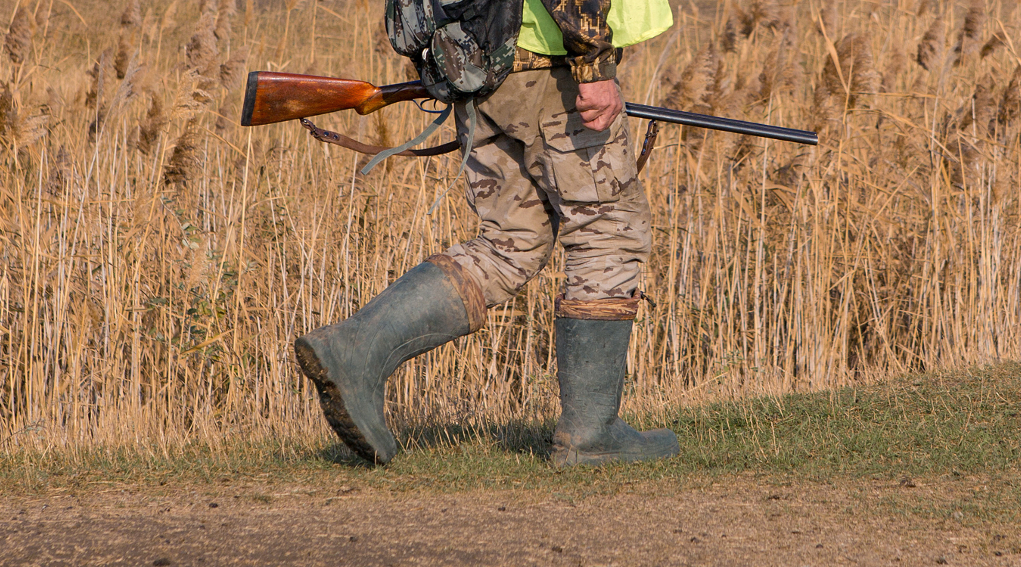 notizie sulla caccia: cacciatore con gilet alta visibilità e fucile in mano