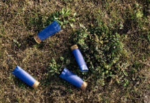 Munizioni in piombo nelle zone umide, verso la nuova proposta Ue Munizioni in piombo nelle zone umide