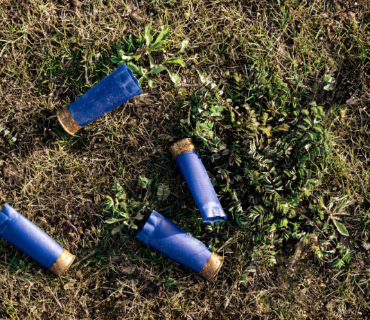 Munizioni in piombo nelle zone umide, verso la nuova proposta Ue Munizioni in piombo nelle zone umide