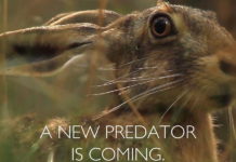 Sta per essere svelata la novità di Beretta Sta per essere svelata la novità di Beretta