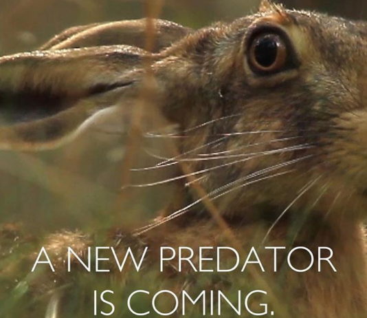 Sta per essere svelata la novità di Beretta Sta per essere svelata la novità di Beretta