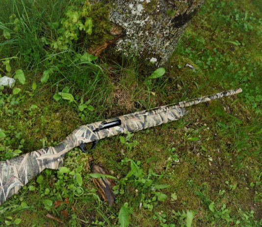 Winchester SX4 Waterfowl calibro 20: il test Winchester SX4 Waterfowl calibro 20 il test