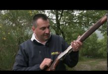 Benelli Raffaello Limited Edition: la presentazione Simone Bertini presenta il fucile Benelli Raffaello Limited Edition