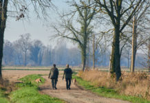 I poteri delle Regioni sui calendari venatori: la sentenza del Tar poteri delle Regioni sui calendari venatori: due cacciatori di spalle lungo strada di campagna, insieme a cane