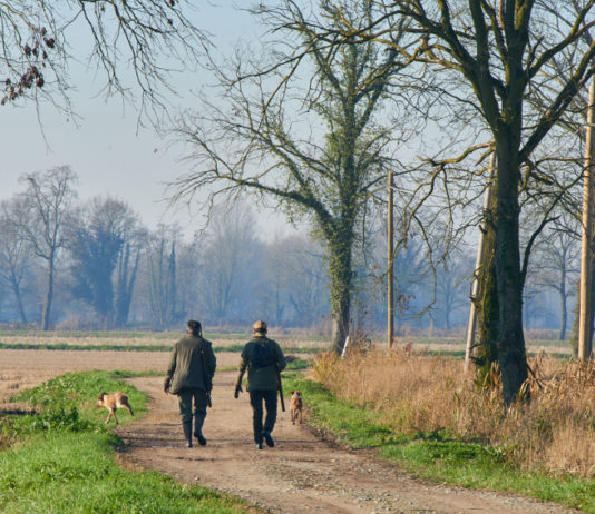 I poteri delle Regioni sui calendari venatori: la sentenza del Tar poteri delle Regioni sui calendari venatori: due cacciatori di spalle lungo strada di campagna, insieme a cane