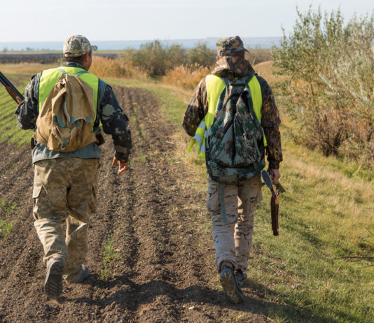 Le notizie di caccia della settimana Le notizie di caccia della settimana: due cacciatori di spalle con cane da caccia