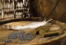 Munizioni in piombo, Reach dice sì al divieto Munizioni in piombo per caccia agli acquatici