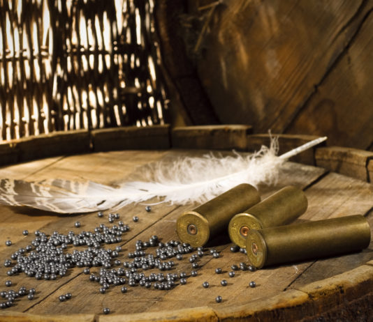 Munizioni in piombo, Reach dice sì al divieto Munizioni in piombo per caccia agli acquatici