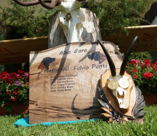 Prova di lavoro per cani da traccia: domenica il Memorial Fulvio Ponti Prova di lavoro per cani da traccia, domenica il Memorial Fulvio Ponti