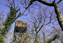 Referendum sulla caccia, appello di Willy Schraen Referendum sulla caccia: appostamento da caccia in Francia