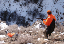 Apertura della stagione di caccia: dieci cose da fare per rimettersi in forma apertura della stagione di caccia