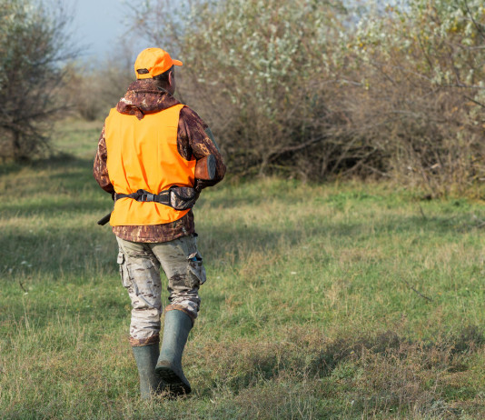 Associazione unica dei cacciatori, Fassini risponde a Castellani associazione unica dei cacciatori: cacciatore di spalle con gilet alta visibilità