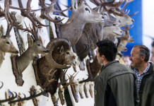Caccia alpina e di selezione: ecco Expo del Cacciatore, la nuova fiera di Riva del Garda Caccia alpina e di selezione ecco Expo del Cacciatore, la nuova fiera di Riva del Garda