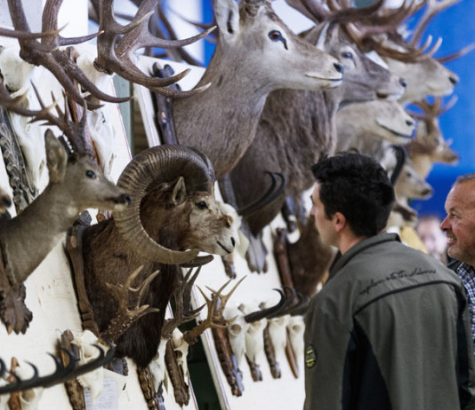 Caccia alpina e di selezione: ecco Expo del Cacciatore, la nuova fiera di Riva del Garda Caccia alpina e di selezione ecco Expo del Cacciatore, la nuova fiera di Riva del Garda
