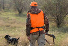 Caccia in zona arancione, la richiesta della Liguria caccia in zona arancione: cacciatore con cane, gilet alta visibilità e fucile in mano