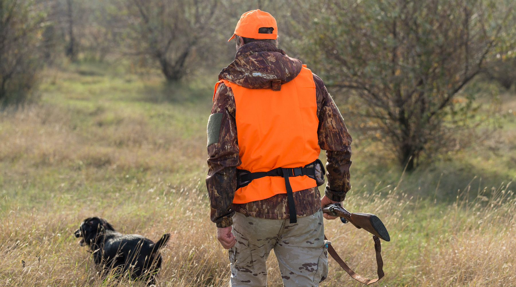 caccia in zona arancione: cacciatore con cane, gilet alta visibilità e fucile in mano