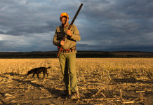 Calendario venatorio della Toscana, la sentenza del Consiglio di Stato calendario venatorio della Toscana: cacciatore con fucile, cane alle sue spalle, al tramonto