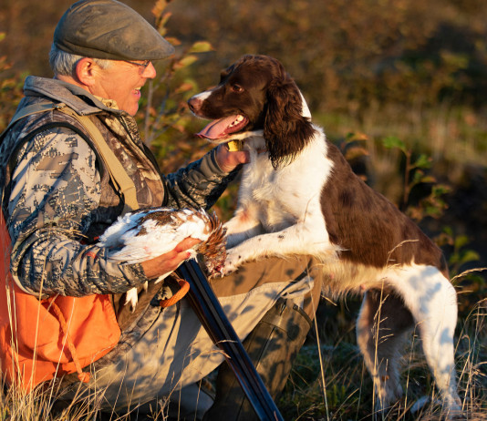 Ci siamo, e ritroverete tutto Ci siamo, e ritroverete tutto