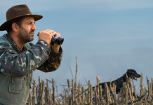 Impatto della caccia sulla conservazione, i dati Impatto della caccia sulla conservazione, i dati