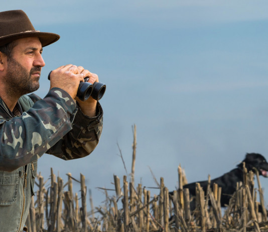 Impatto della caccia sulla conservazione, i dati Impatto della caccia sulla conservazione, i dati