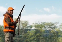 Informazione sulla caccia, la richiesta della cabina di regia Informazione sulla caccia, la richiesta della cabina di regia