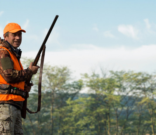 Informazione sulla caccia, la richiesta della cabina di regia Informazione sulla caccia, la richiesta della cabina di regia