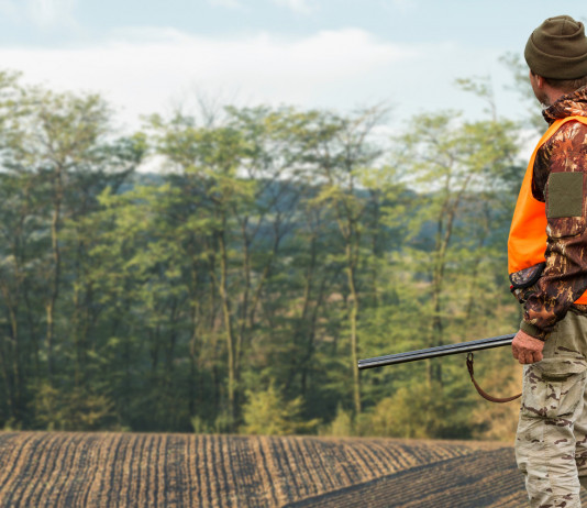 La caccia al ministero della Transizione ecologica: la dichiarazione della Lega La caccia al ministero della Transizione ecologica: cacciatore in alta visibilità
