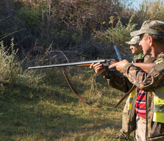 Legge quadro sulla caccia: Fassini commenta la sentenza della Corte costituzionale Legge quadro sulla caccia Fassini commenta la sentenza della Corte costituzionale