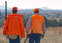 Qualifica delle guardie zoofile: la sentenza della Cassazione Qualifica delle guardie zoofile la sentenza della Cassazione