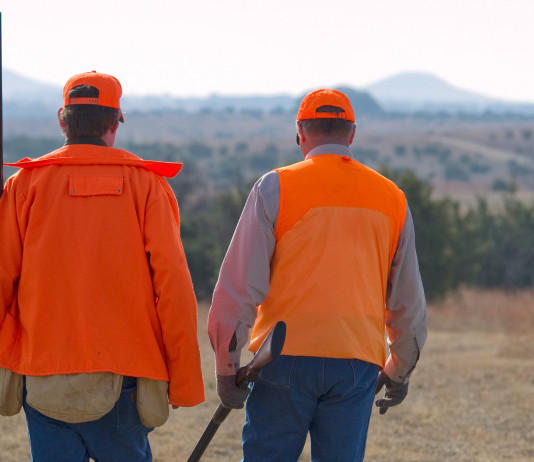Qualifica delle guardie zoofile: la sentenza della Cassazione Qualifica delle guardie zoofile la sentenza della Cassazione