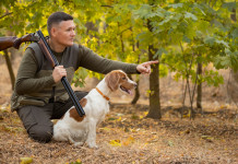 Scadenze per la caccia in Lombardia, la giunta decide le proroghe scadenze per la caccia in Lombardia: cacciatore con cane