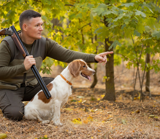 Scadenze per la caccia in Lombardia, la giunta decide le proroghe scadenze per la caccia in Lombardia: cacciatore con cane