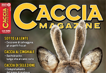Caccia Magazine n. 3 marzo 2021 Caccia Magazine n. 3 marzo 2021
