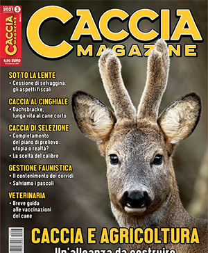 Caccia Magazine n. 3 marzo 2021 Caccia Magazine n. 3 marzo 2021