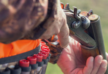 Tassa di concessione per la caccia: Sicilia riduce l’importo tassa di concessione per la caccia: cacciatore in alta visibilità con fucile in mano