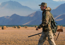 Tassa di concessione per la caccia, la cabina di regia scrive alle Regioni Tassa di concessione per la caccia, la cabina di regia scrive alle Regioni