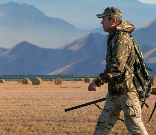 Tassa di concessione per la caccia, la cabina di regia scrive alle Regioni Tassa di concessione per la caccia, la cabina di regia scrive alle Regioni