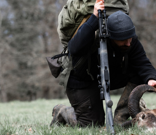 Caccia Magazine aprile 2021 in edicola dal 20 marzo caccia magazine aprile 2021 in edicola dal 20 marzo