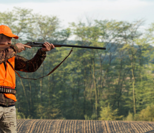 Caccia in Campania, le associazioni venatorie contro l’assessore caccia in campania: cacciatore con fucile