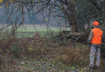 Caccia nei fondi privati, la posizione di Buconi caccia nei fondi privati: cacciatore vestito di arancione, nel bosco