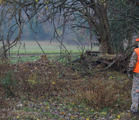 Caccia nei fondi privati, la posizione di Buconi caccia nei fondi privati: cacciatore vestito di arancione, nel bosco